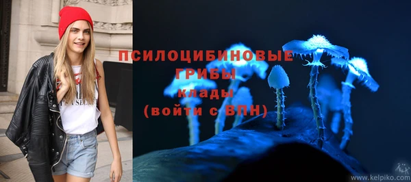 дживик Киренск