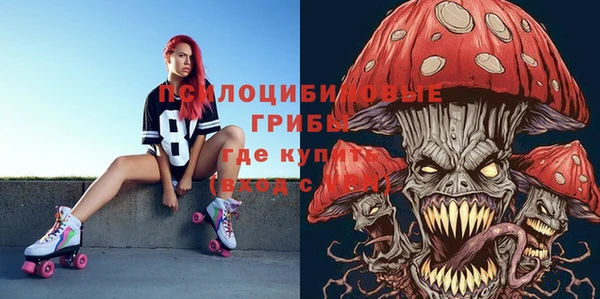 дживик Киренск