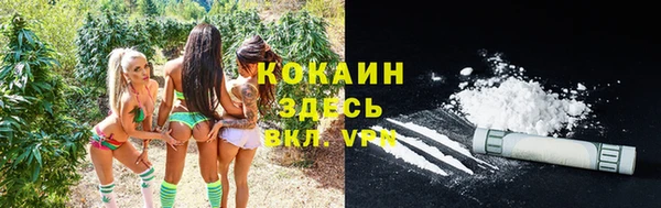 дживик Киренск