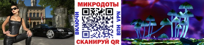 Купить где  Красноуральск  Галлюциногенные грибы GOLDEN TEACHER 